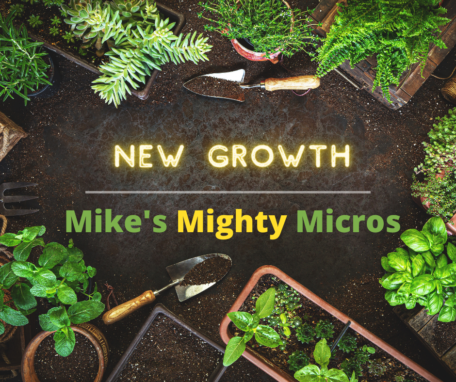 Mike's Mighty Micros - New Growth
